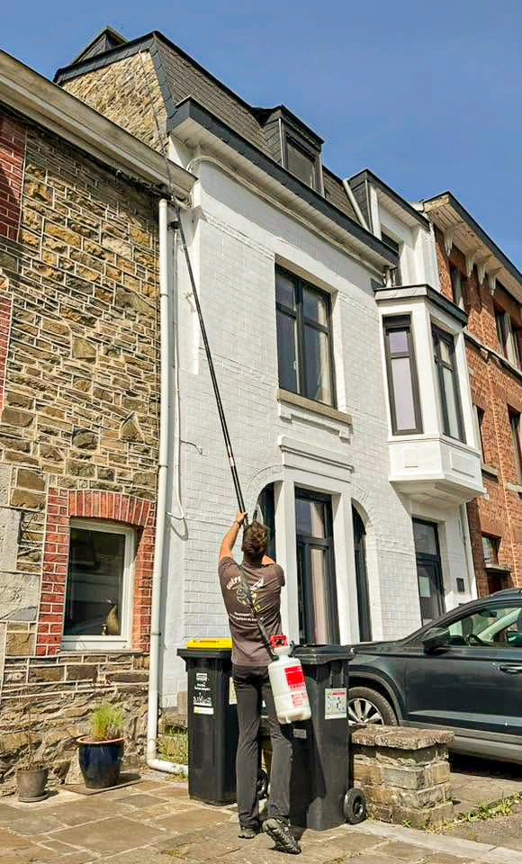 Nid de guêpes sous une toiture à Hamoir