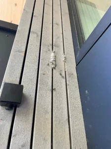 Guêpes visibles au niveau des lames d’une terrasse en bois, dans un bardage